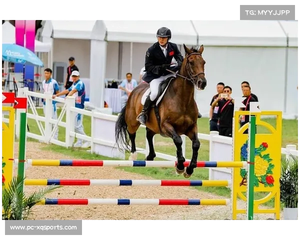 世界现代五项锦标赛:马术环节意外频发,瑞典老将稳健夺冠
