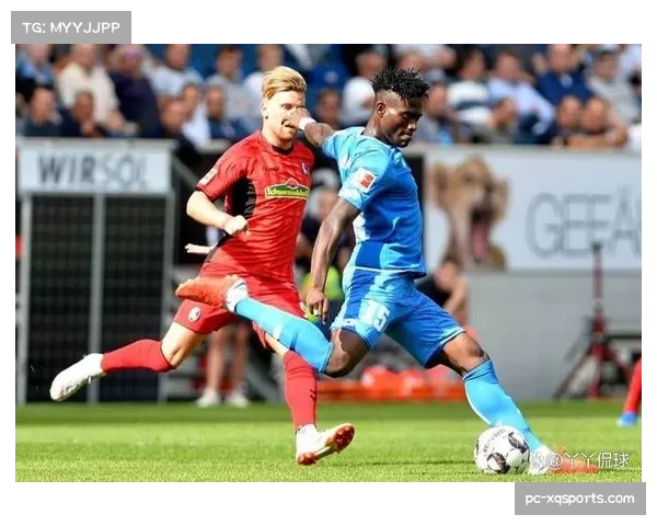 霍芬海姆2-2弗赖堡,两队上演进球大战各取一分